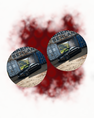 zdj (42).png