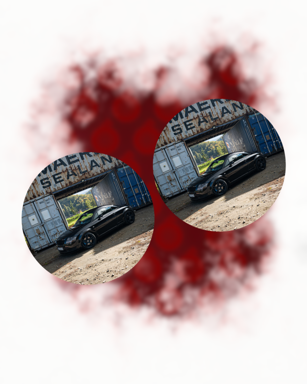 zdj (42).png
