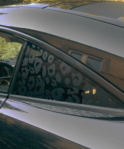 vw (4).png