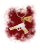 zdj (97).png