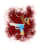 zdj (100).png