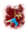 zdj - 2023-11-12T180739.426.png