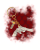 zdj - 2023-11-12T180931.543.png