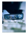 vw (10).png
